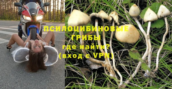 хмурый Алексеевка