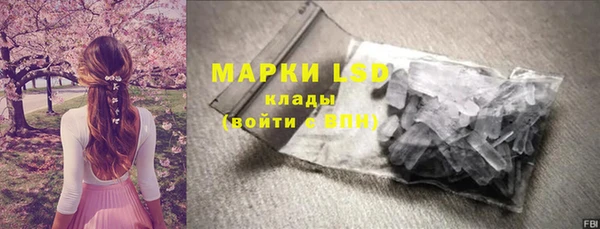 ешки Алзамай