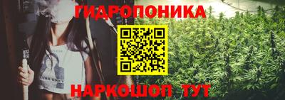 не бодяженный Кингисепп